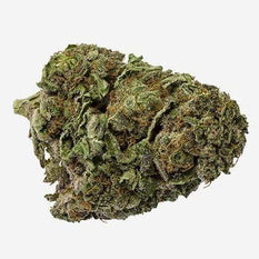 Dried Cannabis - Emerald White Rhino Flower - Format: - Emerald
