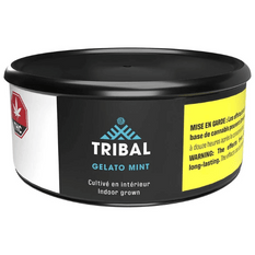 Dried Cannabis - SK - Tribal Gelato Mint Flower - Format: