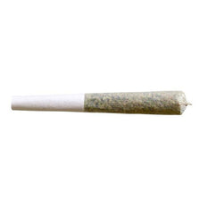 Dried Cannabis - SK - Trailblazer Spark Sativa Pre-Roll - Format: - Trailblazer