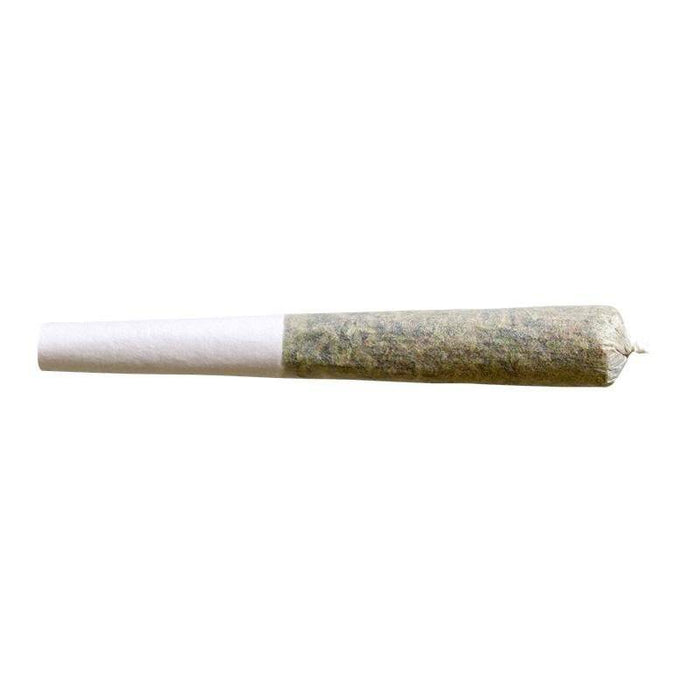 Dried Cannabis - SK - Trailblazer Flicker Indica Pre-Roll - Format: - Trailblazer