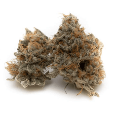 Dried Cannabis - SK - OGEN Bacio Punch #8 Flower - Format: - OGEN