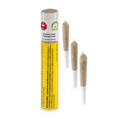 Dried Cannabis - SK - Lune Rise Farms Strawberry Fields Pre-Roll - Format: - Lune Rise Farms