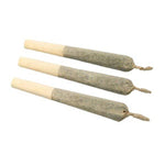 Dried Cannabis - MB - WAGNERS Tiki Rain Pre-Roll - Format: - WAGNERS