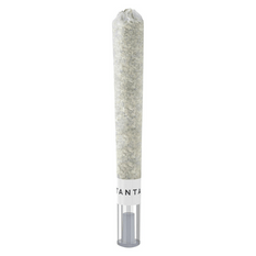 Dried Cannabis - MB - Tantalus OG Platinum Mints Glass Tip Pre-Roll - Format: