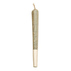 Extracts Inhaled - SK - Zest Cannabis Orange Kush Shatter Infused Pre-Roll - Format: - Zest Cannabis