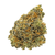 Dried Cannabis - SK - WAGNERS Tiki Rain Flower - Format: - WAGNERS