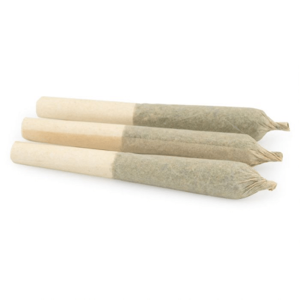Dried Cannabis - MB - Sundial Citrus Orchard Pre-Roll - Format: - Sundial