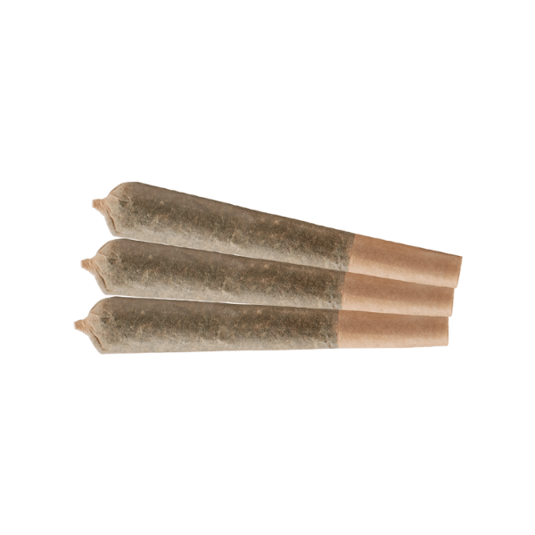 Dried Cannabis - SK - Vacay Tropicali Pre-Roll - Format: