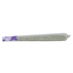 Dried Cannabis - SK - Shred Dessert Storm Pre-Roll - Format: - Shred