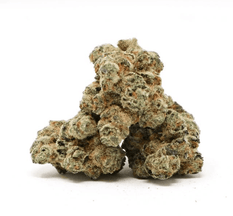 Dried Cannabis - AB - Qwest Reserve Original Glue Flower - Grams: - Qwest Reserve