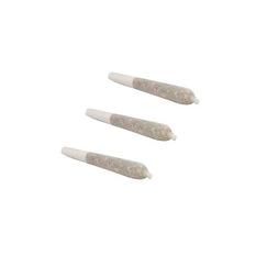 Dried Cannabis - SK - Ace Valley Wappa Pre-Roll - Format: - Ace Valley