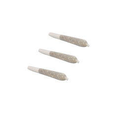 Dried Cannabis - SK - Ace Valley Great White Shark Pre-Roll - Format: - Ace Valley