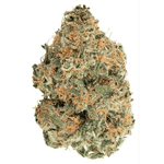 Dried Cannabis - SK - Holy Mountain Purple Punch-Out! Flower - Format: - Holy Mountain