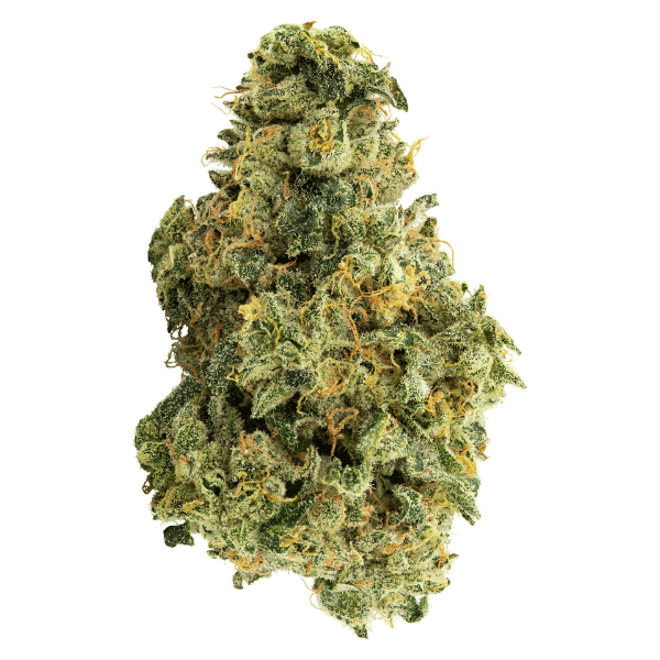 Dried Cannabis - MB - Trailblazer Lemonade Haze Flower - Format: - Trailblazer