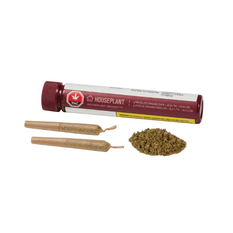 Dried Cannabis - MB - Houseplant Indica Pre-Roll - Grams: