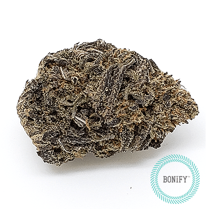 Dried Cannabis - SK - Bonify Dinafem Dinamed CBD Flower - Format: - Bonify