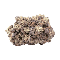 Dried Cannabis - MB - Terp Town Collective Lazer Wolf Flower - Format: