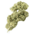 Dried Cannabis - SK - Citoyen Power OG Flower - Format: - Citoyen