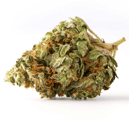 Dried Cannabis - MB - Sundial Citrus Punch Flower - Grams:
