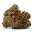 Dried Cannabis - SK - Tweed Apple Pie Flower - Format: - Tweed
