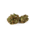 Dried Cannabis - AB - Tweed Highlands Flower - Grams: - Tweed