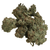 Dried Cannabis - MB - Tweed 2.0 Alien OG Flower - Format: - Tweed