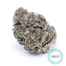 Dried Cannabis - SK - Bonify Strawberry Cough Flower - Format: - Bonify