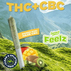 Extracts Inhaled - MB - Spinach Feelz Mango Kiwi Haze THC-CBC Infused Pre-Roll - Format: - Spinach