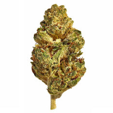 Dried Cannabis - AB - Canaca Mango Flower - Grams: - Canaca