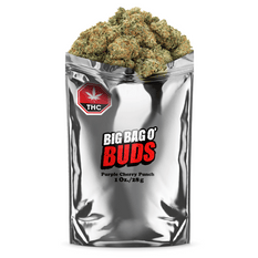 Dried Cannabis - SK - Big Bag O' Buds Purple Cherry Punch Flower - Format: