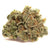 Dried Cannabis - AB - Canaca Alien Dawg Flower - Grams: