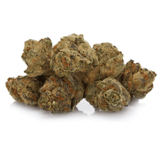 Dried Cannabis - MB - Delta 9 Prairie Gold Flower - Format: - Delta 9