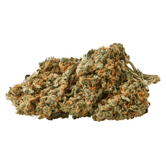 Dried Cannabis - MB - Sundial Citrus Orchard Flower - Format: - Sundial