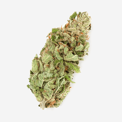 Dried Cannabis - SK - Eve & Co The Dreamer Flower - Format: - Eve & Co