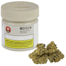 Dried Cannabis - SK - Doja Garlic Chem Flower - Format: - Doja