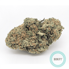 Dried Cannabis - SK - Bonify Dinafem Critical+ Flower - Format: - Bonify