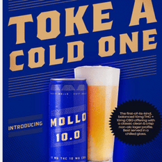 Edibles Non-Solids - SK - Mollo 10 Brew THC Beverage - Format: - Mollo