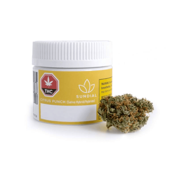 Dried Cannabis - AB - Sundial Lift Citrus Punch Flower - Grams: - Sundial Lift