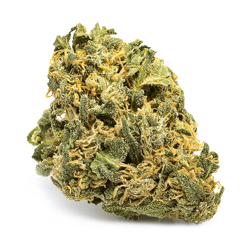 Dried Cannabis - SK - Emerald Ninja Fruit Flower - Format: - Emerald