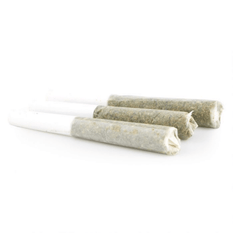 Dried Cannabis - SK - Top Leaf Motor Breath Pre-Roll - Format: - Top Leaf