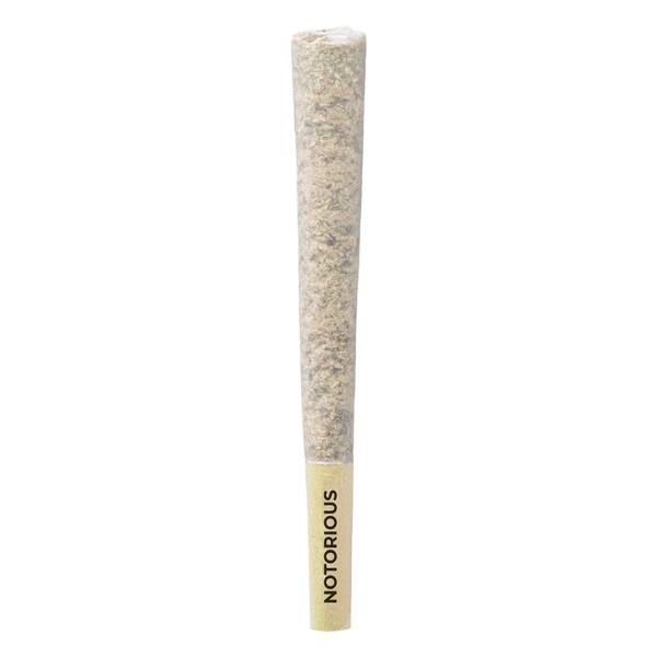 Dried Cannabis - MB - Pistol And Paris Notorious Pre-Roll - Format: