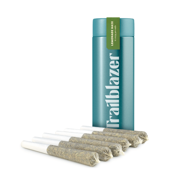 Dried Cannabis - MB - Trailblazer Lemonade Haze Pre-Roll - Format: - Trailblazer