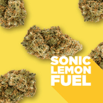 Dried Cannabis - SK - Spinach Sonic Lemon Fuel Flower - Format: - Spinach