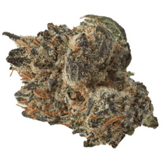 Dried Cannabis - SK - Kolab Project Purple Kush Flower - Format: - Kolab Project