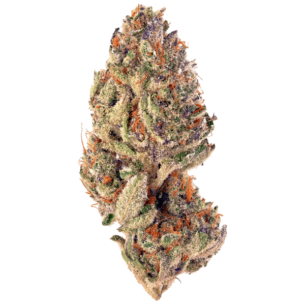 Dried Cannabis - SK - Tantalus Labs Tropicanna Cookies Flower - Format: - Tantalus Labs
