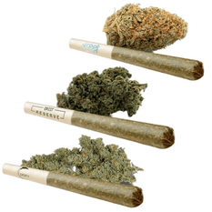 Dried Cannabis - MB - AHLOT Coast to Coast Pre-Roll - Format: - AHLOT