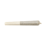 Dried Cannabis - SK - Highly Dutch Organic Rotterdam Indica Pre-Roll - Format: - Highly Dutch Organic