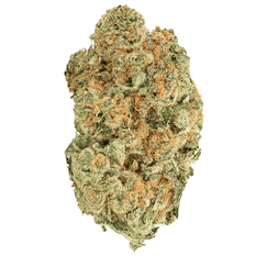 Dried Cannabis - SK - Holy Mountain Midnight M'mosa Flower - Format: