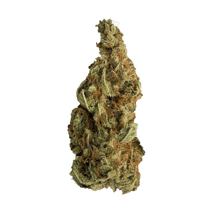 Dried Cannabis - MB - Benchmark Botanics Green Haze Flower - Grams: - Benchmark Botanics