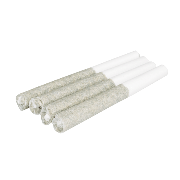 Dried Cannabis - MB - Terroir Kush Tot Pre-Roll - Format: - Terroir